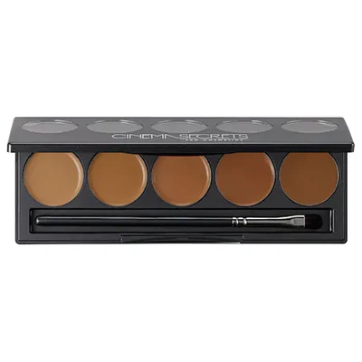 Shop Cinema Secrets Ultimate Foundation 5-in-1 Pro Palette&trade; 400 Series 5 X 0.09 oz/ 2.55 G