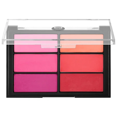 Shop Viseart Blush Palette Rose/ Coral 0.84 oz/ 24 G