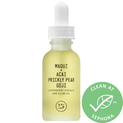 Shop Youth To The People Superberry Hydrate + Glow Dream Oil With Squalane And Antioxidants 1 oz / 30 ml
