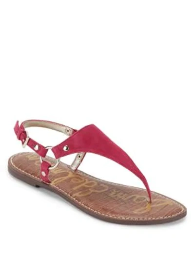 Shop Sam Edelman Greta Leather Thong Sandals In Pink