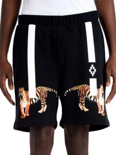 Shop Marcelo Burlon County Of Milan X Tyga Tiger Shorts In Black