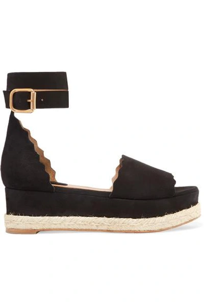 Shop Chloé Lauren Scalloped Suede Espadrille Platform Sandals In Black