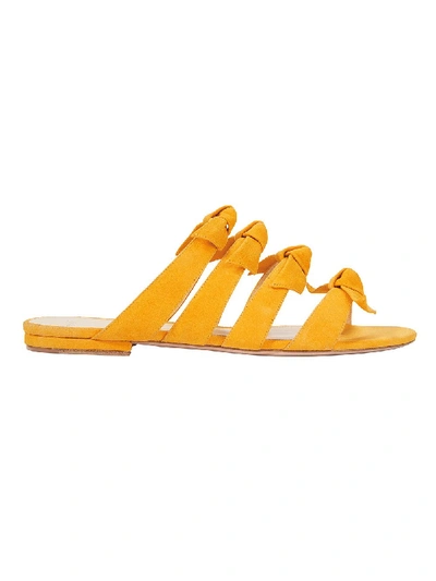 Shop Alexandre Birman Julita Yellow Flat