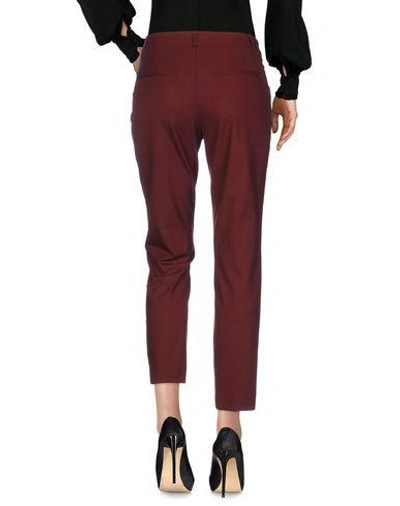 Shop Space Style Concept Pants In Maroon