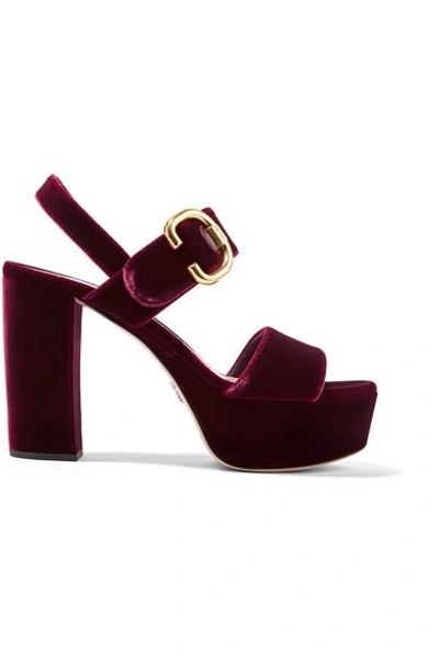 Shop Prada Velvet Platform Sandals In Burgundy