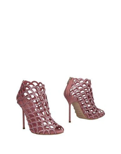 Shop Sergio Rossi Ankle Boots In Pink
