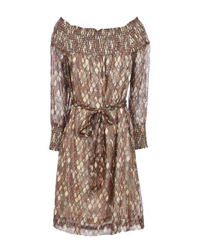 Shop Intropia Short Dresses In Brown