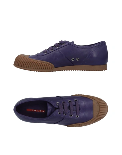 Shop Prada Sneakers In Purple