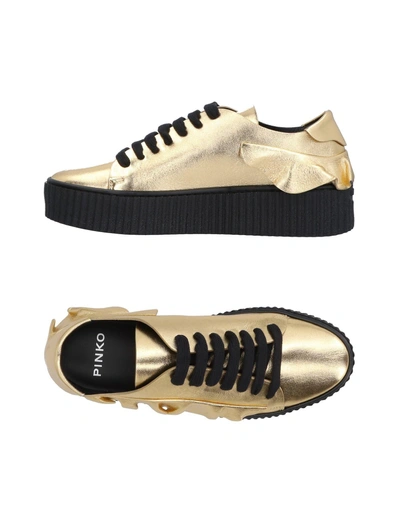 Shop Pinko Sneakers In Gold