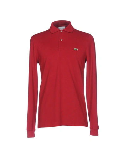 Shop Lacoste Polo Shirts In Red