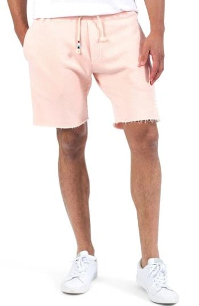 Shop Sol Angeles Essential Knit Shorts In Coral