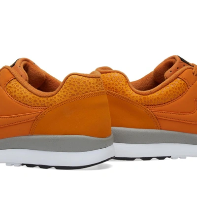 Shop Nike Air Safari In Orange