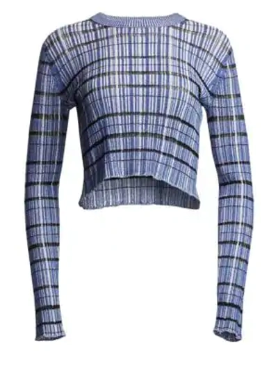 Shop Proenza Schouler Striped Rib Knit Sweater In Blue