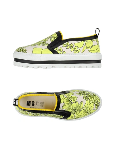 Shop Msgm Sneakers In Ivory