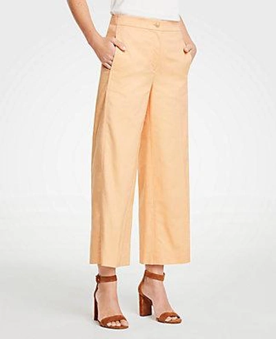 Shop Ann Taylor The Petite Wide Leg Marina Pant In Sorrento Sun