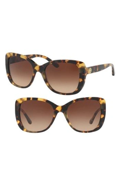 Shop Tory Burch 53mm Gradient Rectangle Sunglasses - Lite Tortoise