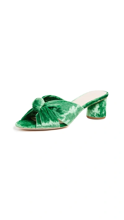 Shop Loeffler Randall Celeste Knot Slides In Emerald