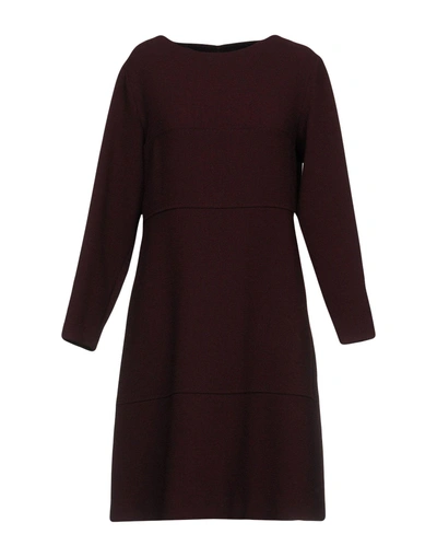 Shop Antonelli Knee-length Dresses In Deep Purple