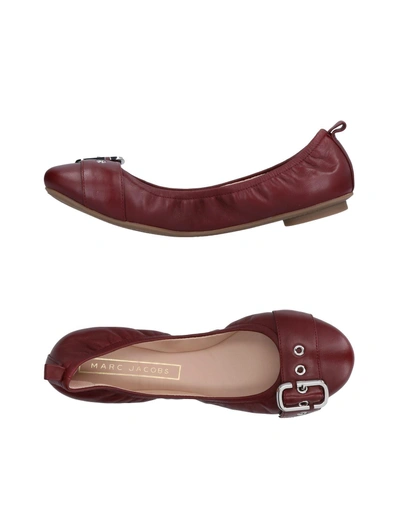 Shop Marc Jacobs Ballet Flats In Maroon