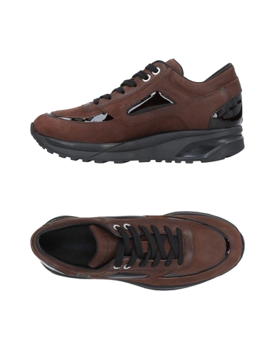 Shop Cappelletti Sneakers In Brown