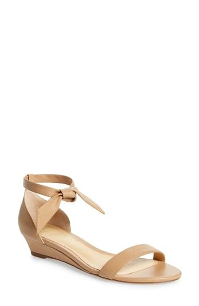 Shop Alexandre Birman Atena Tie Strap Wedge Sandal In Nude Leather