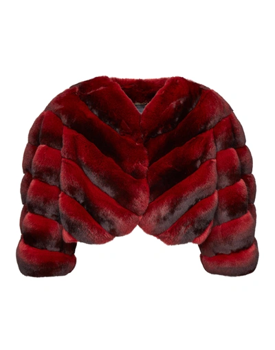 Shop Philipp Plein Fur Jacket "incredible" In Bordeaux