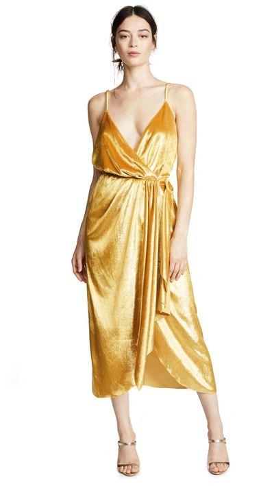 Shop Maria Lucia Hohan Jolie Dress In Nugget Gold