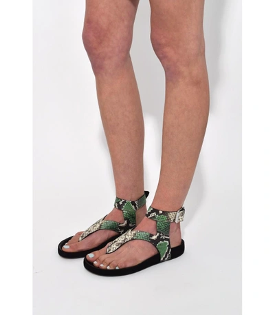 Shop Isabel Marant Green Elwina Sandal