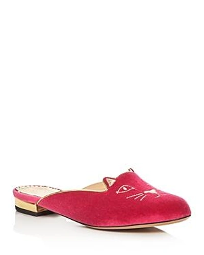 Shop Charlotte Olympia Kitty Embroidered Velvet Mules In Dark Pink