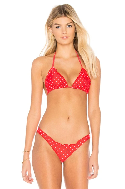 Shop Chloe Rose Daisy Bikini Top In Red
