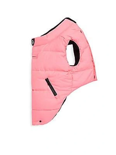 Shop Polo Ralph Lauren Down-fill Dog Jacket In Pink