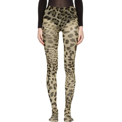Shop Dolce & Gabbana Multicolor Leopard Tights