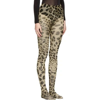 Shop Dolce & Gabbana Multicolor Leopard Tights
