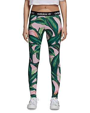 jardim agharta leggings