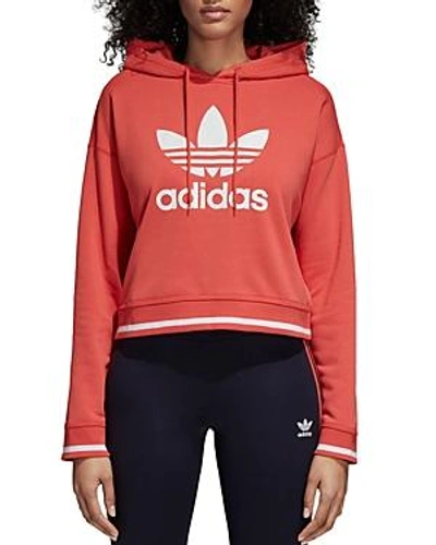 Shop Adidas Originals Active Icons Cropped Hooded Sweatshirt In Trace Scarlet