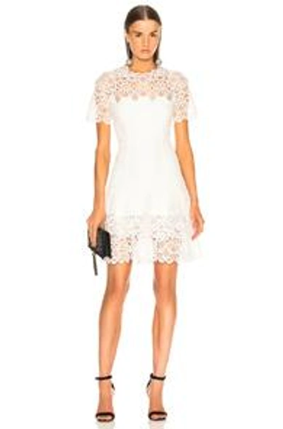 Shop Jonathan Simkhai Multimedia Lace Mini Tee Dress In White