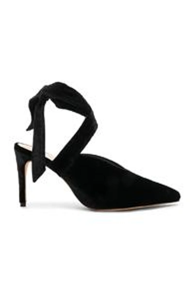 Shop Alexandre Birman Velvet & Suede Sally Ankle Tie Pumps In Black