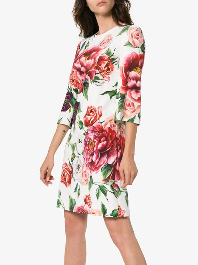 Shop Dolce & Gabbana Silk Rose Print Dress In White