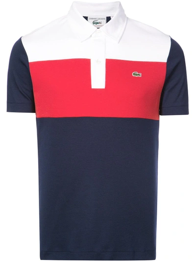 Lacoste 85th Anniversary Limited Edition Interlock Polo Shirt In Navy Blue  / Red / White | ModeSens