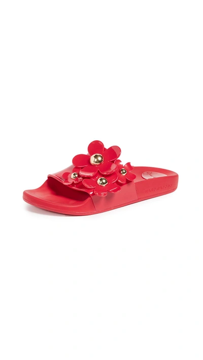 Shop Marc Jacobs Daisy Aqua Slides In Red