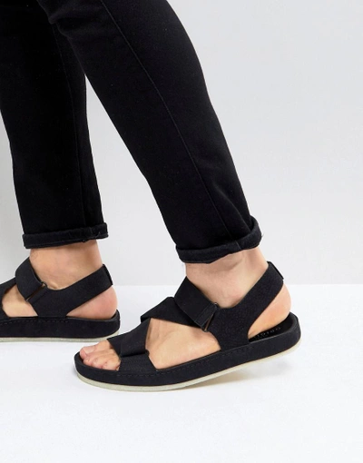 Clarks Originals Ranger Nubuck Sandals In Black - Black | ModeSens