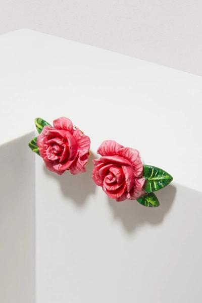 Shop Dolce & Gabbana Roses Earrings