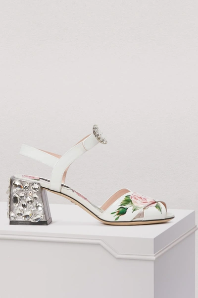 Shop Dolce & Gabbana Keira Sandals In Ivory