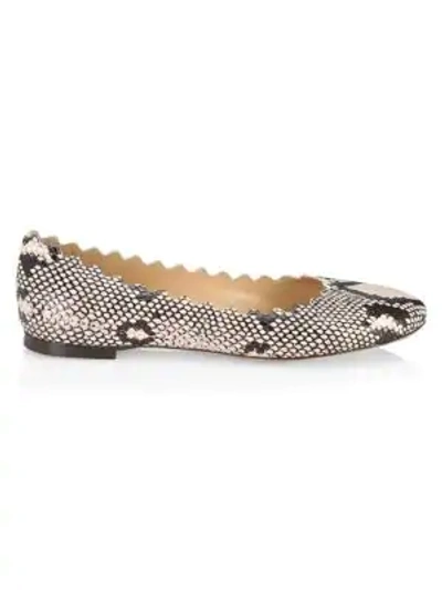 Shop Chloé Lauren Python-embossed Leather Ballet Flats In Multi