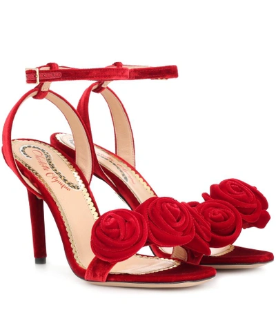 Shop Charlotte Olympia Rositta Velvet Sandals In Red