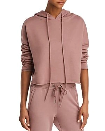 Shop Alo Yoga Cropped Drawstring Hooded Sweatshirt In Smokey Quartz