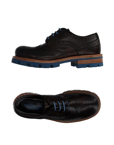 Shop Cappelletti Laced Shoes In Dark Brown