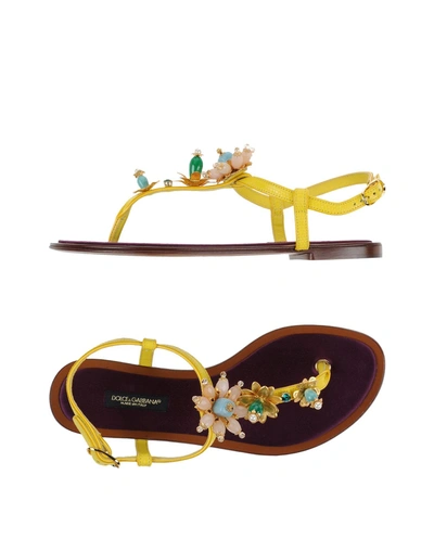 Shop Dolce & Gabbana Woman Thong Sandal Yellow Size 5.5 Soft Leather