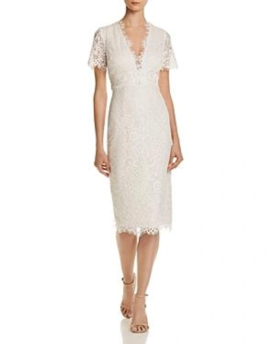 Shop Aqua Scalloped Lace Dress - 100% Exclusive In Ivory/ivory