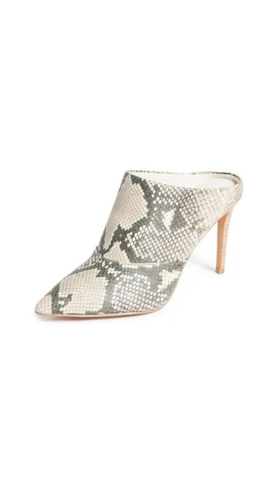 Dolce vita cinda store mule